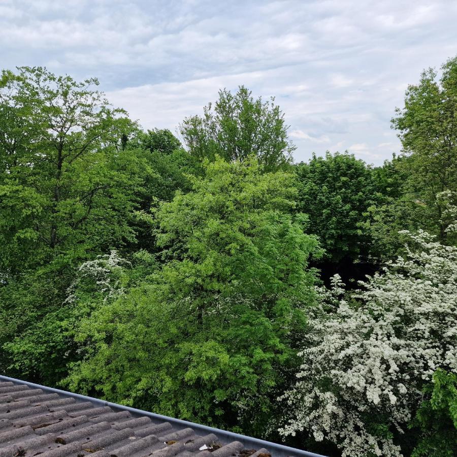 Ferienwohnung Zuhause Im Gruenen Essen Exterior foto